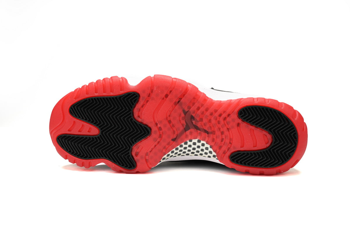 Jordan 11 bred
