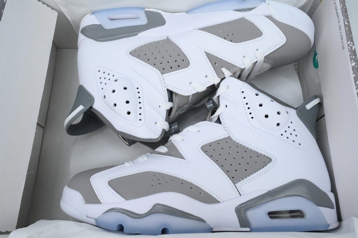 Jordan 6