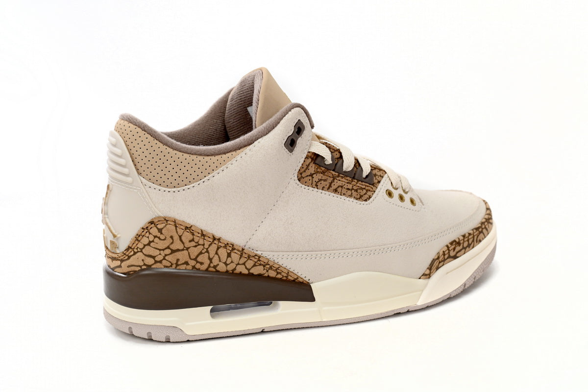 Jordan 3