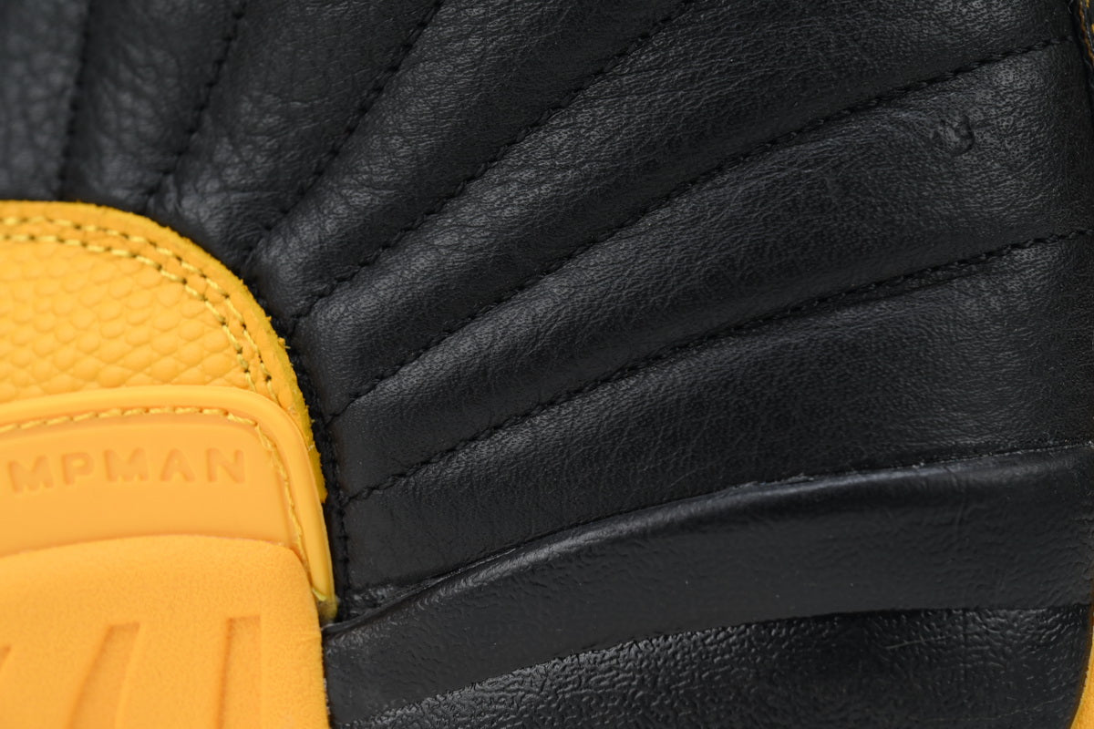 Jordan 12