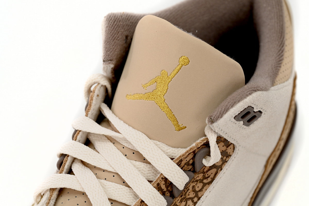 Jordan 3