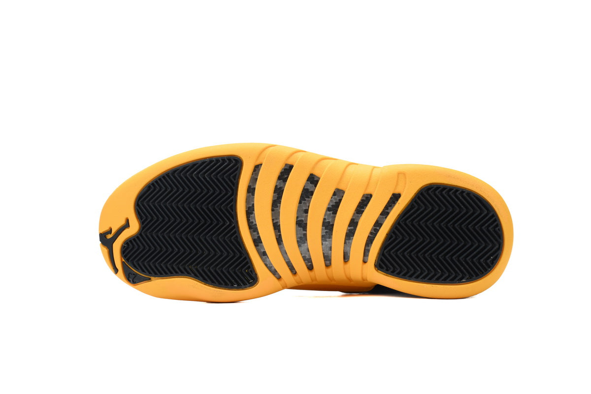 Jordan 12