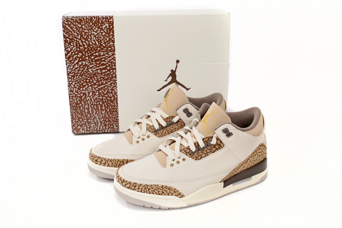 Jordan 3