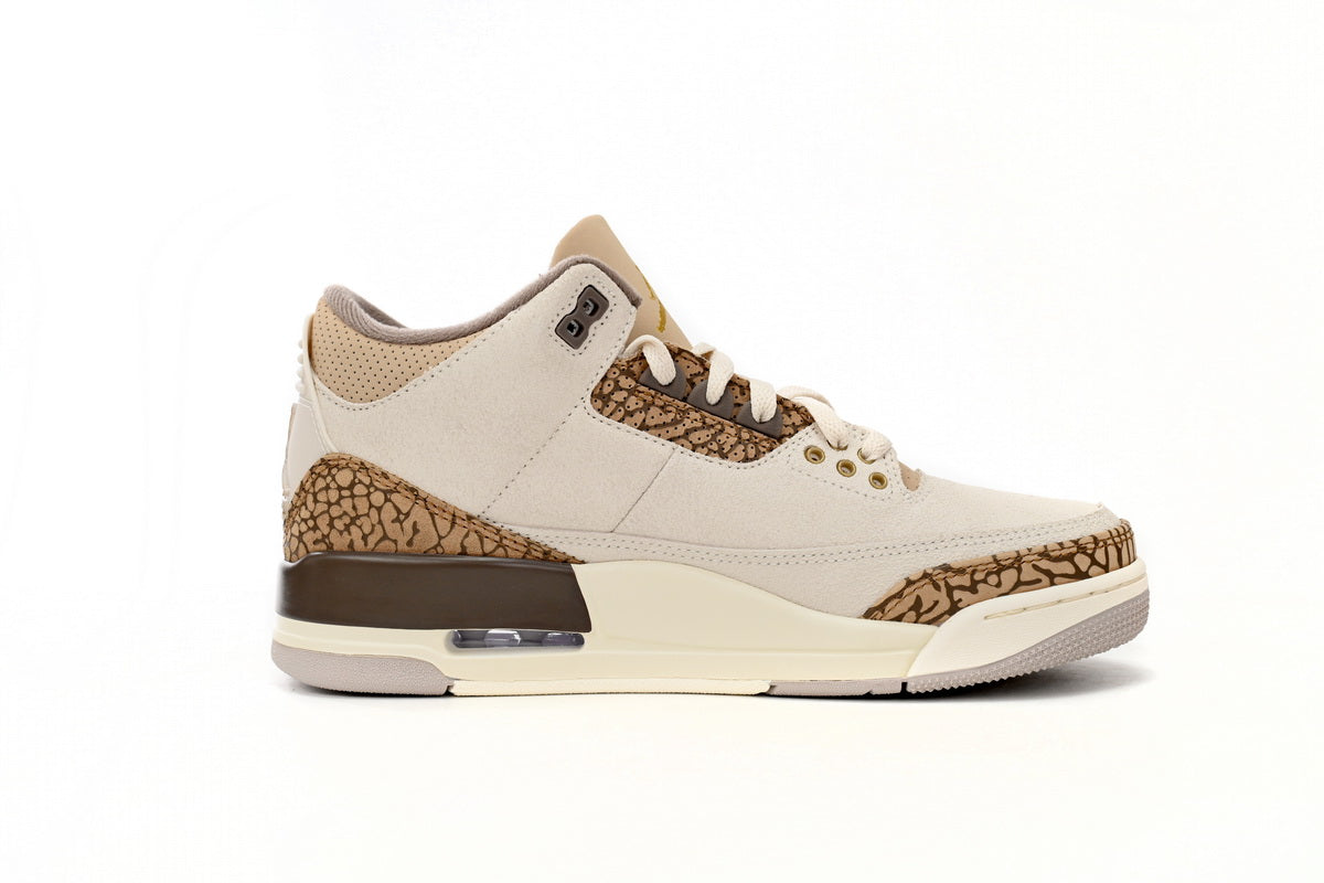 Jordan 3