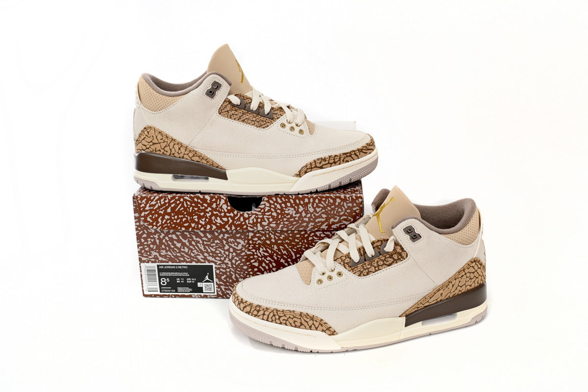 Jordan 3