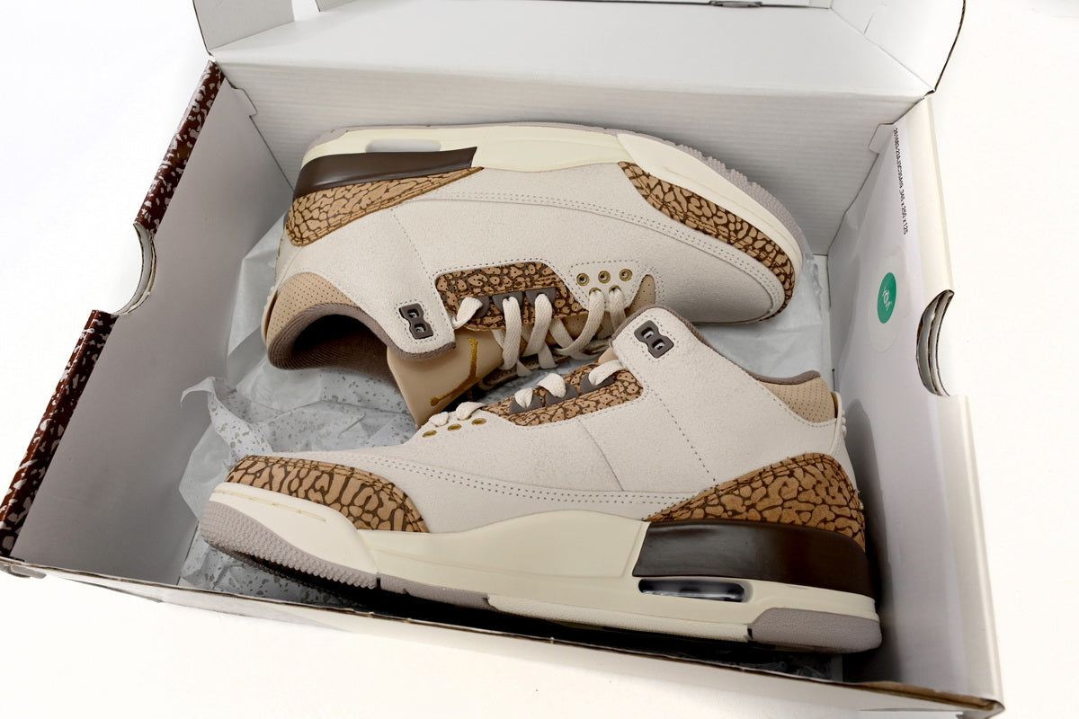 Jordan 3