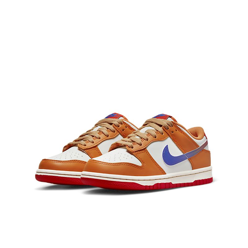 Nike SB DUNKS